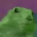 MEMES COM ANIMAIS FOFOS 8