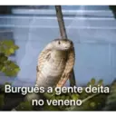NAJA MILITANTE 4
