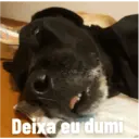 Kiara e Nina 3
