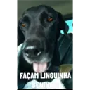 Kiara e Nina 4