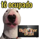 to ocupado Big Brother Brasil
