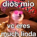 MEMES ALEATÓRIOS 3