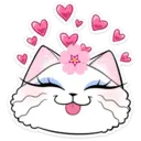 Gata loca💞1🇵🇪Clásica 5
