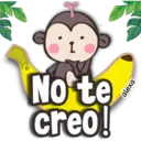 Mo-monkey🤎🐒 2