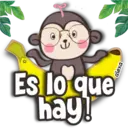 Mo-monkey🤎🐒 7