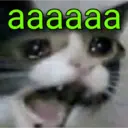 MEMES PRA TODA HORA 13
