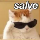 MEMES PRA TODA HORA 15