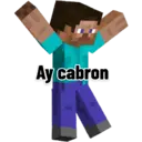 Steve_shitpost 15