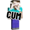 Steve_shitpost 19