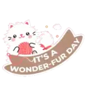 SG Furkids 2 2