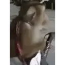 स्टिकर