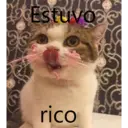 Gatitos Stikers 6