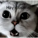 Gatitos Stikers 3