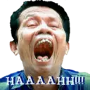 Indonesia 15