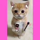 Tiktok 1