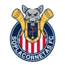 Bendita Liga MX V1 6