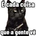 DEBOCHE DA OFENÇA 18