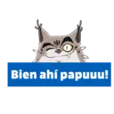 Mascota T! 7