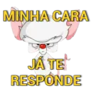 Memes pra qualquer conversa 13