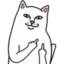Memes pra qualquer conversa 15