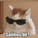 Gatetos 1 10