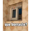 Gatetos 1 21
