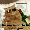 Gatetos 1 24
