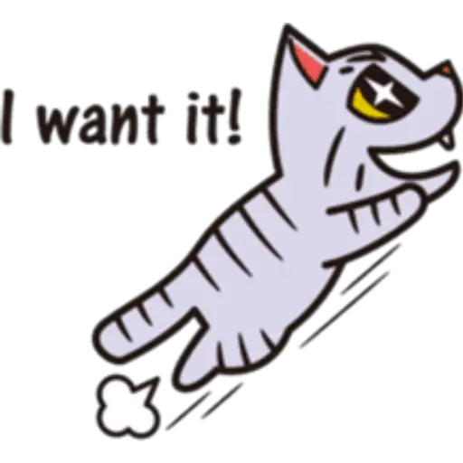 Cat tabby🫧🍀 4