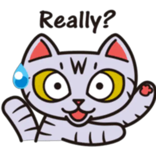 Cat tabby🫧🍀 13