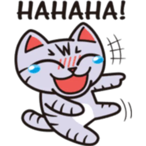 Cat tabby🫧🍀 10