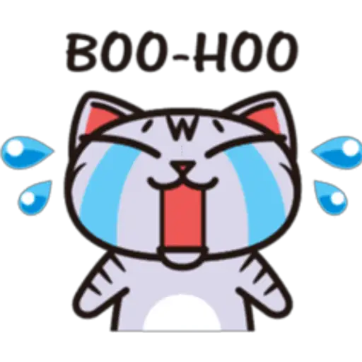 Cat tabby🫧🍀 30