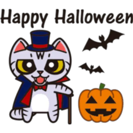 Cat tabby🫧🍀 7