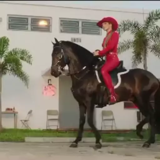 🧿El Jefe Shakira Fuerza Regida🎶🎤 8