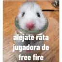 alejate rata
jugadora de
free fire