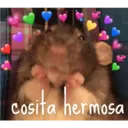 cosita hermosa