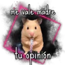 me vale madre
tu opinión