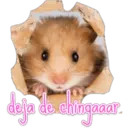 deja de chingaaar.