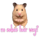no
sabes leer weg?