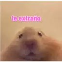 te extraño