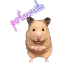portavorcito