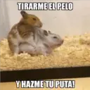 TIRARME EL PELO
Y HAZME TU PUTA!