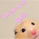 lo sé pero no me
importa