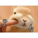 of
tú