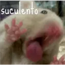 suculento
