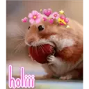 holiii