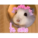 te
Te amo