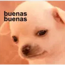 buenas
buenas