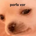 porfa vor