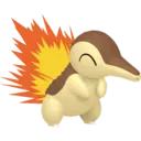 Pokemon 154-165 6