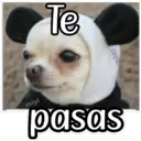 QUE SAD 1